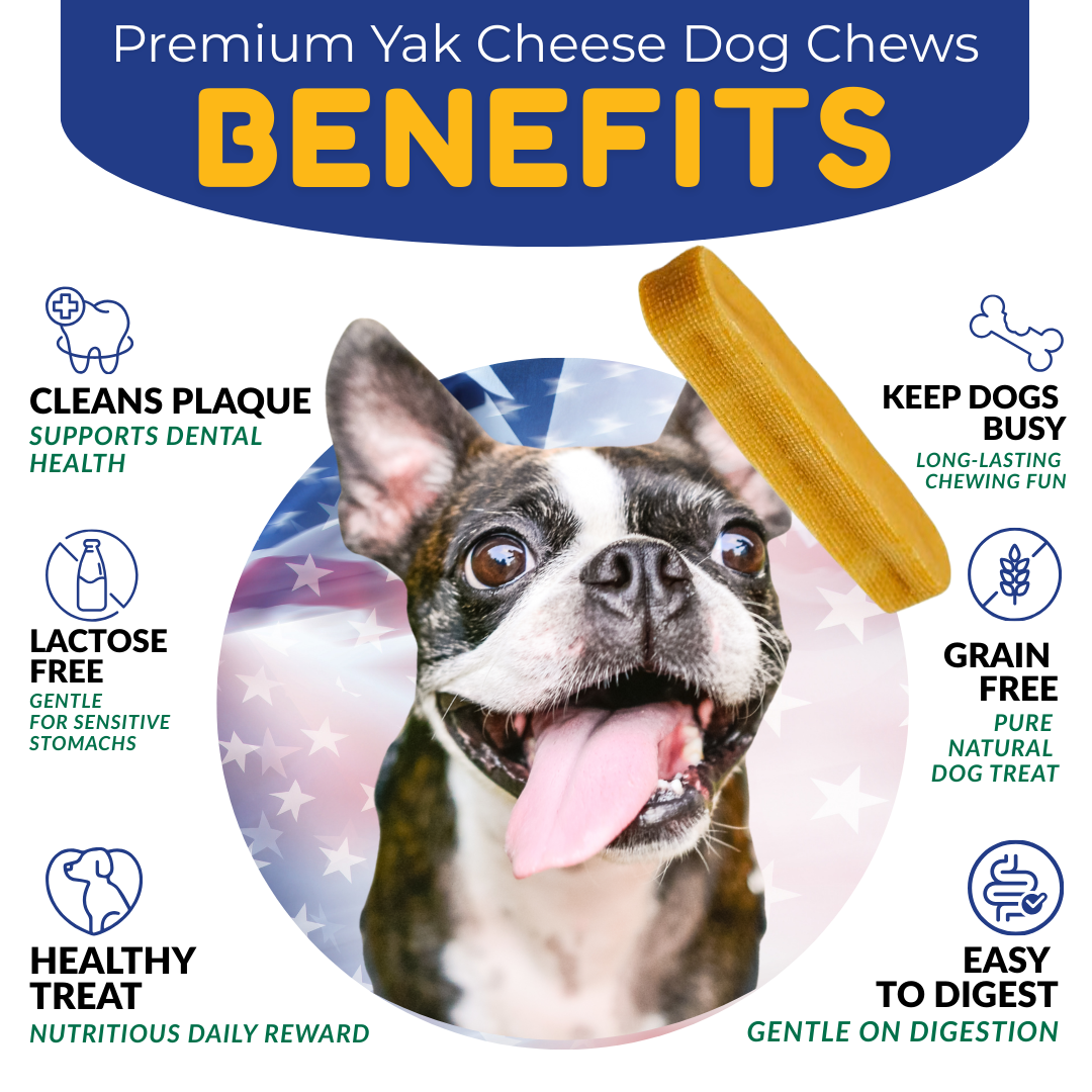 Yak Cheese Himalayan Dog Chews, Premium Yak Chews; All-Natural Long Lasting Yak Cheese for Even The Most Aggressive Chewers, Yak Chews for Large Dogs & for Small, Medium, All Breeds, Large 4 Pack-1lb