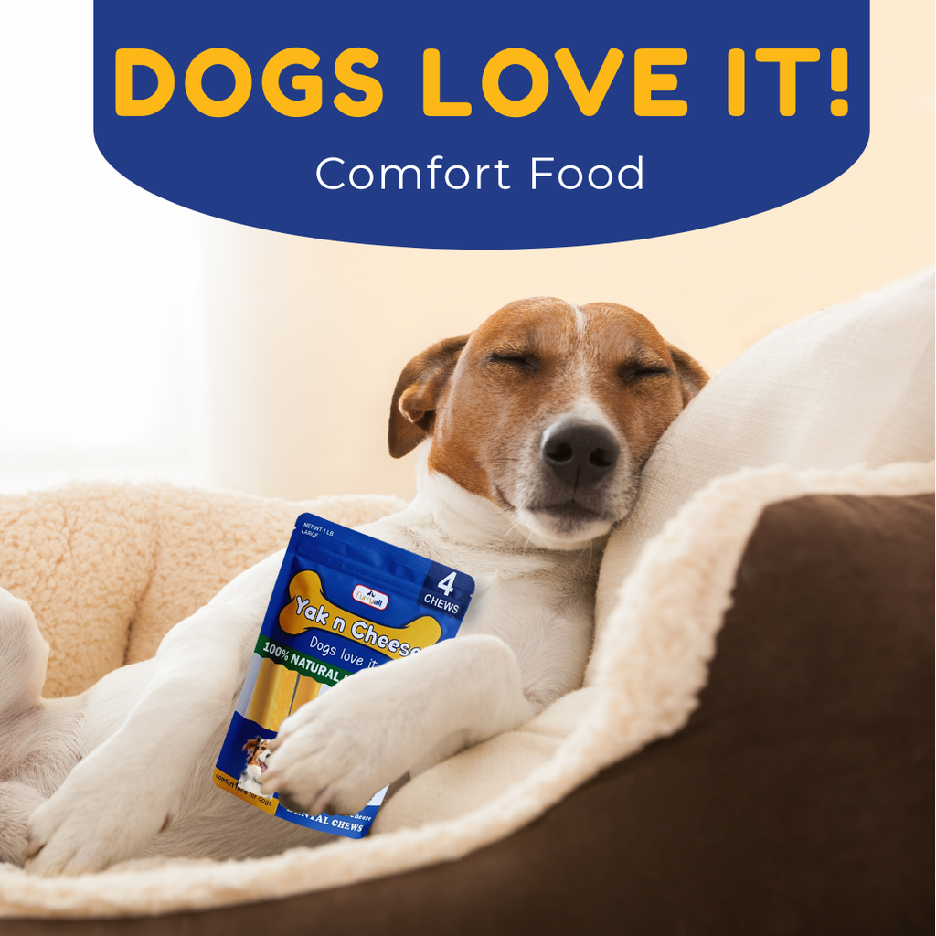 Yak Cheese Himalayan Dog Chews, Premium Yak Chews; All-Natural Long Lasting Yak Cheese for Even The Most Aggressive Chewers, Yak Chews for Large Dogs & for Small, Medium, All Breeds, Large 4 Pack-1lb